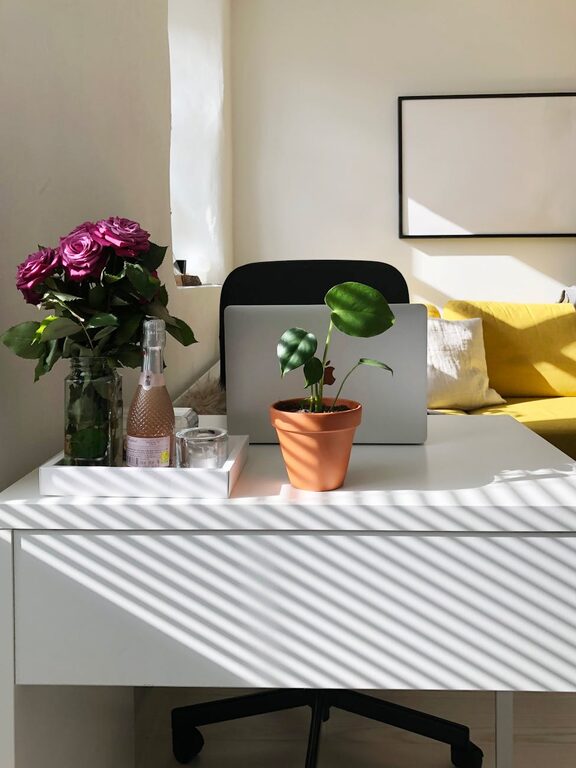 Tips for Creating a Relaxing Home Office Space to Boost Productivity and Comfort